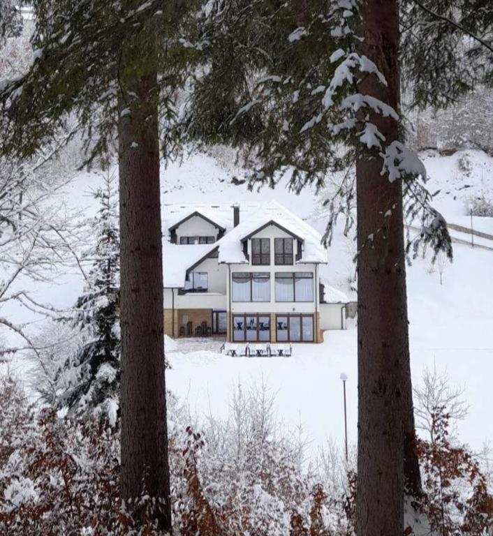 Zlatarska Dolina Bed and Breakfast Nova Varoš Buitenkant foto