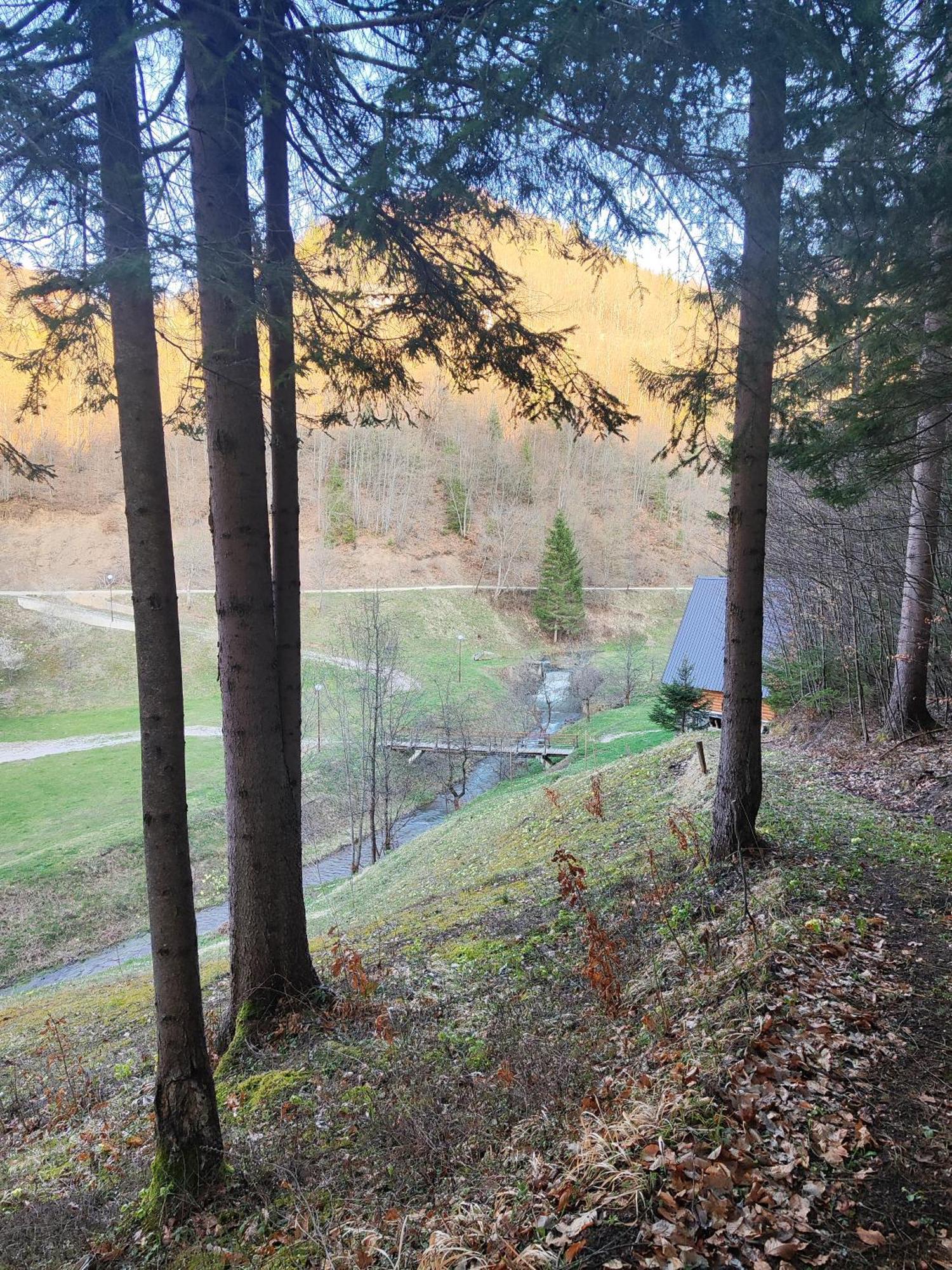 Zlatarska Dolina Bed and Breakfast Nova Varoš Buitenkant foto